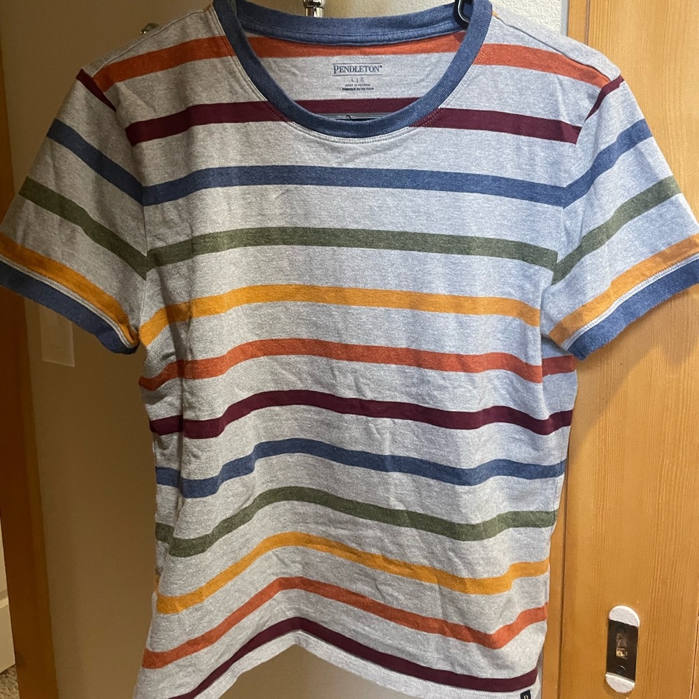 Pendleton Rainbow striped shirt